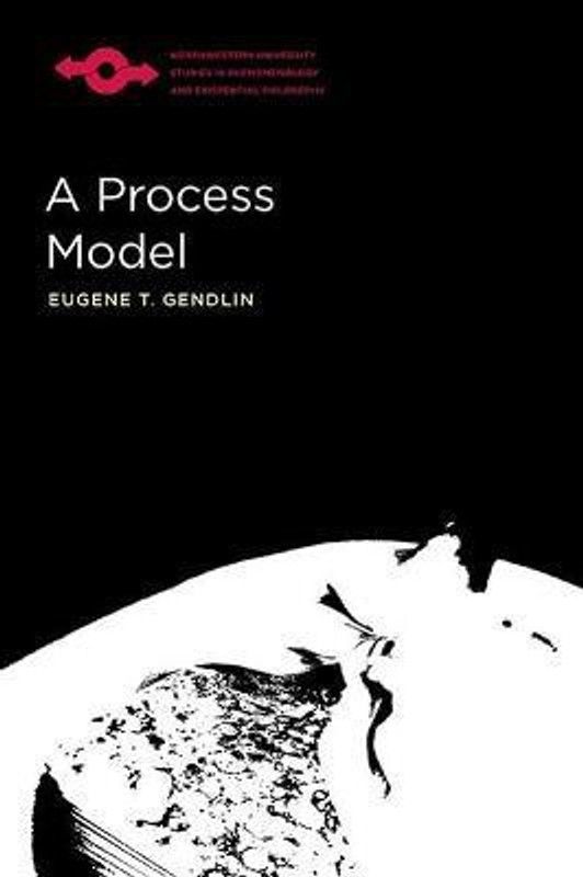 A Process Model  (English, Paperback, Gendlin Eugene)