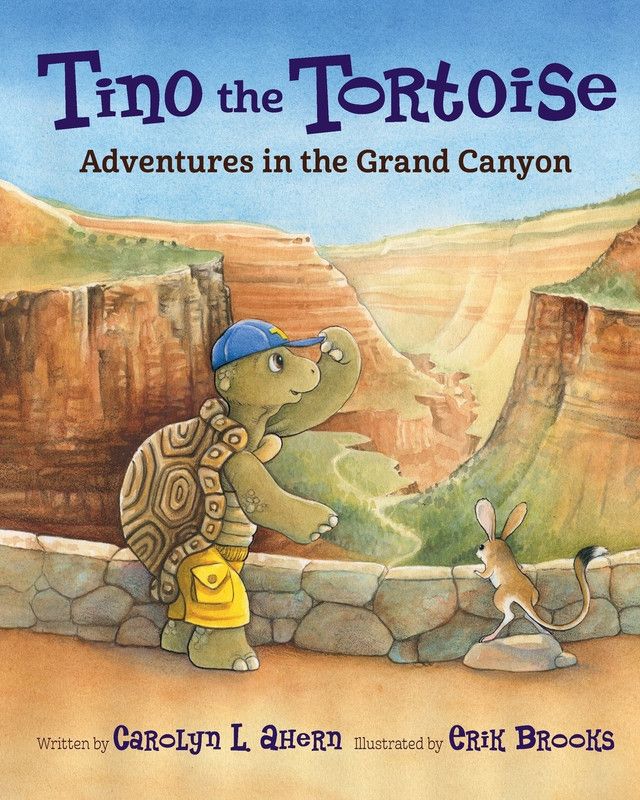 Tino the Tortoise  (English, Paperback, Ahern Carolyn L.)