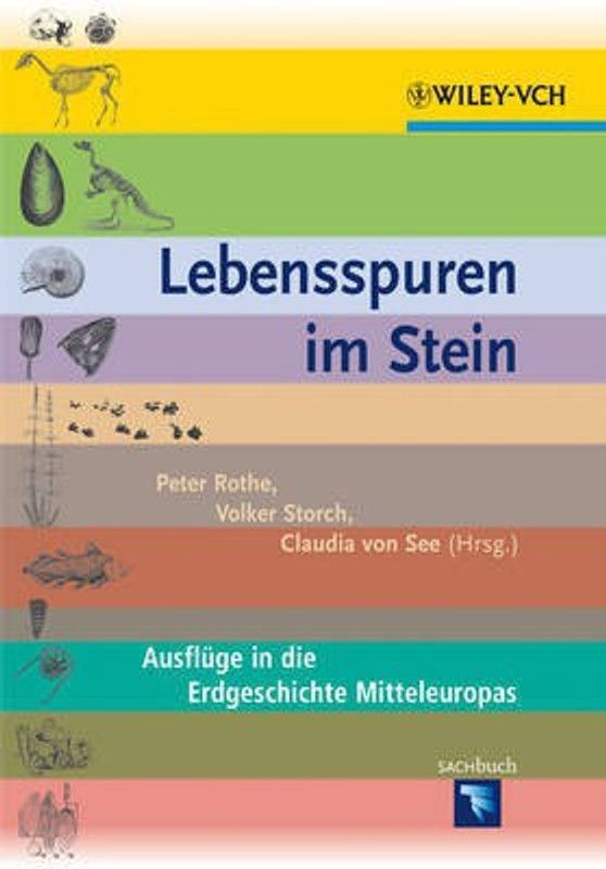 Lebensspuren im Stein  (German, Hardcover, unknown)