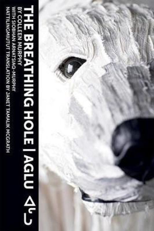 The Breathing Hole  (English, Paperback, Murphy Colleen)