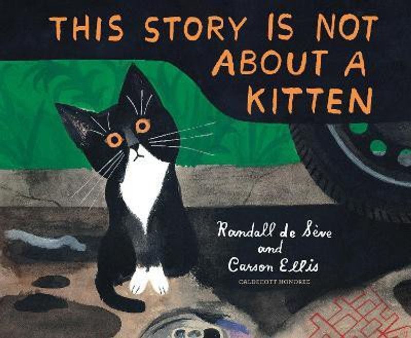 This Story Is Not About a Kitten  (English, Hardcover, Seve Randall De)