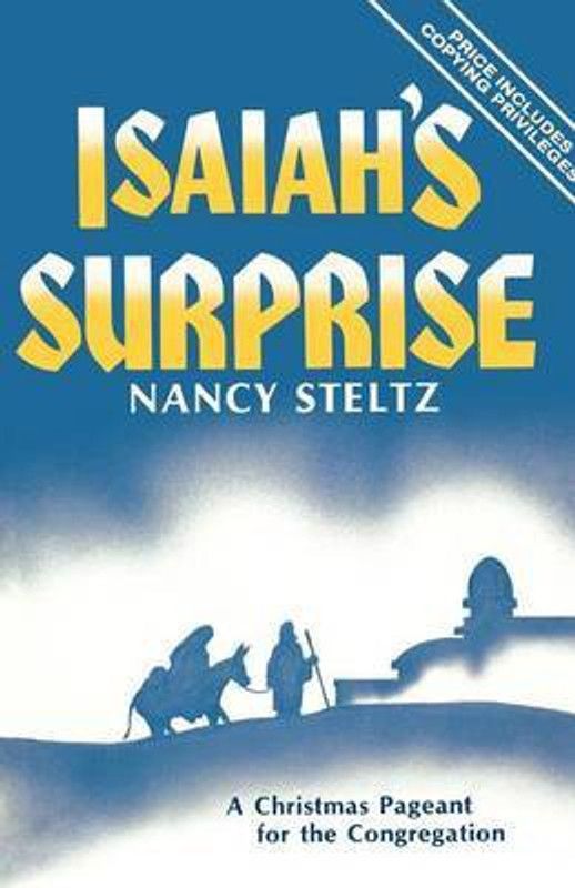 Isaiah's Surprise  (English, Paperback, Steltz Nancy)