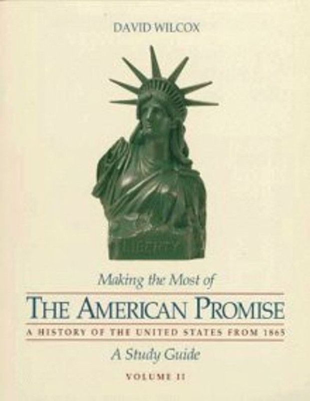 American Promise  (English, Paperback, Johnson Michael P University)