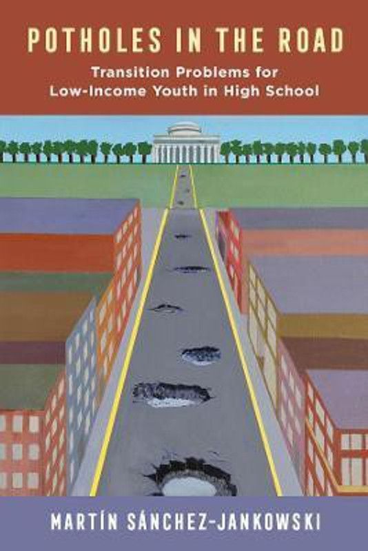 Potholes in the Road  (English, Paperback, Sanchez-Jankowski Martin)