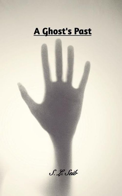 A Ghost's Past  (English, Paperback, Seib S L)