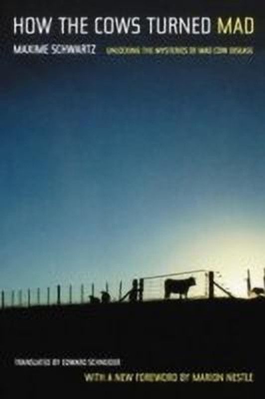 How the Cows Turned Mad - Unlocking the Mysteries of Mad Cow Disease  (English, Paperback, Schwartz Maxime)
