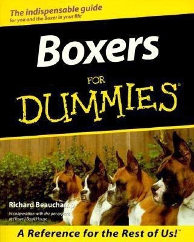 Boxers for Dummies - Tales from the Conquest of Time  (English, Paperback, Beauchamp Richard G.)