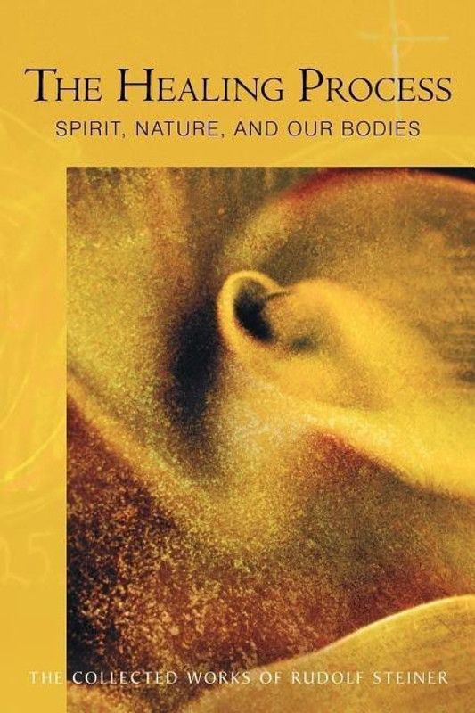 The Healing Process  (English, Paperback, Steiner Rudolf)