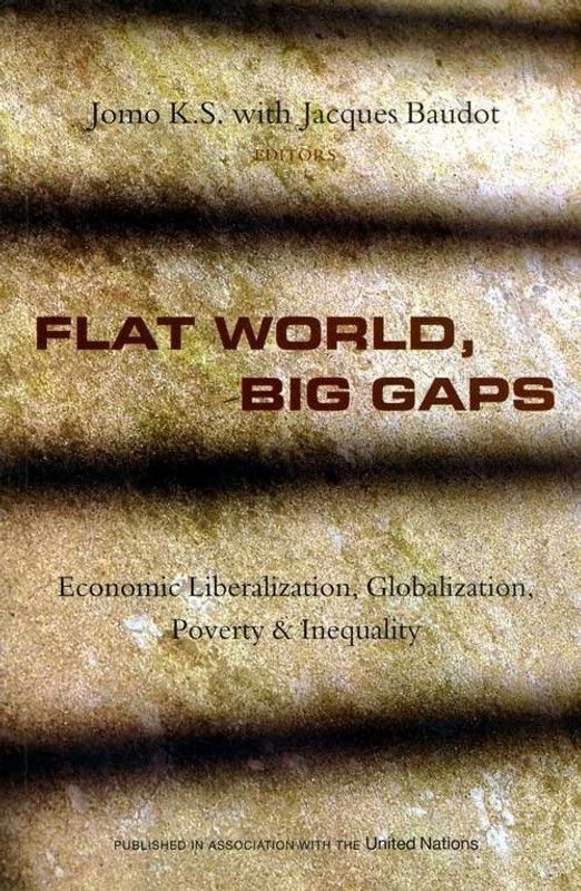 Flat World Big Gaps  (English, Paperback, unknown)