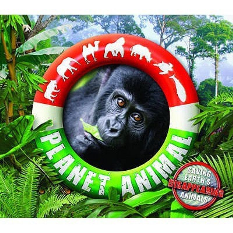 Planet Animal RC32  (English, Paperback, Taylor Barbara)