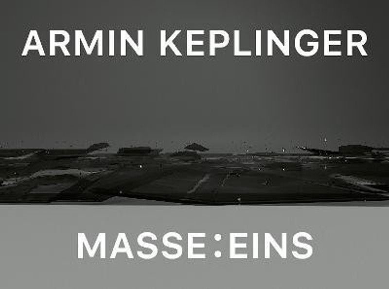 Armin Keplinger: Mass: One  (English, Paperback, Keplinger Armin)