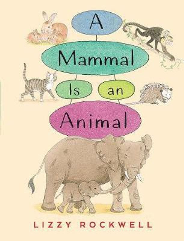 A Mammal is an Animal  (English, Paperback, Rockwell Lizzy)