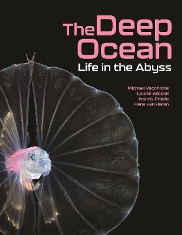 The Deep Ocean  (English, Hardcover, Vecchione Michael)