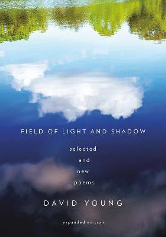 Field of Light and Shadow  (English, Paperback, Young David)