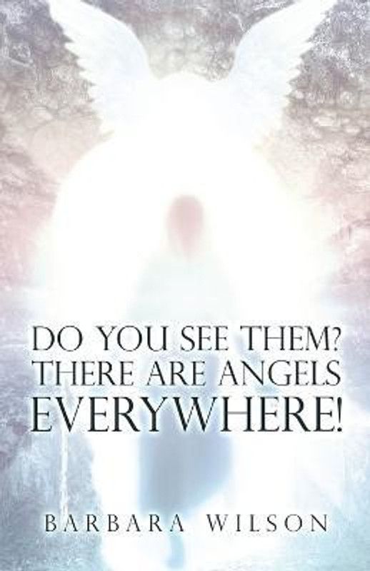 Do You See Them? There Are Angels Everywhere!  (English, Paperback, Wilson Barbara)