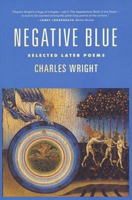Negative Blue  (English, Paperback, Wright Charles)