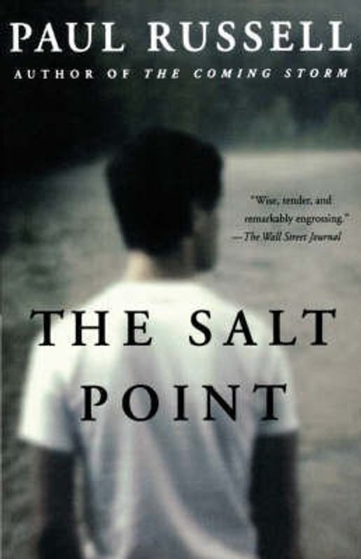 The Salt Point  (English, Paperback, Russell Paul)