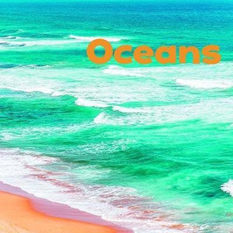 Oceans  (English, Hardcover, Shores Erika L.)