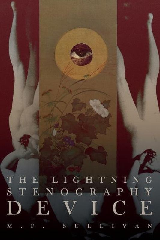 The Lightning Stenography Device  (English, Paperback, Sullivan M. F.)