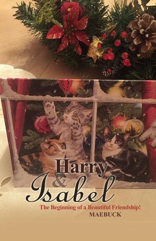 Harry & Isabel  (English, Paperback, Maebuck)