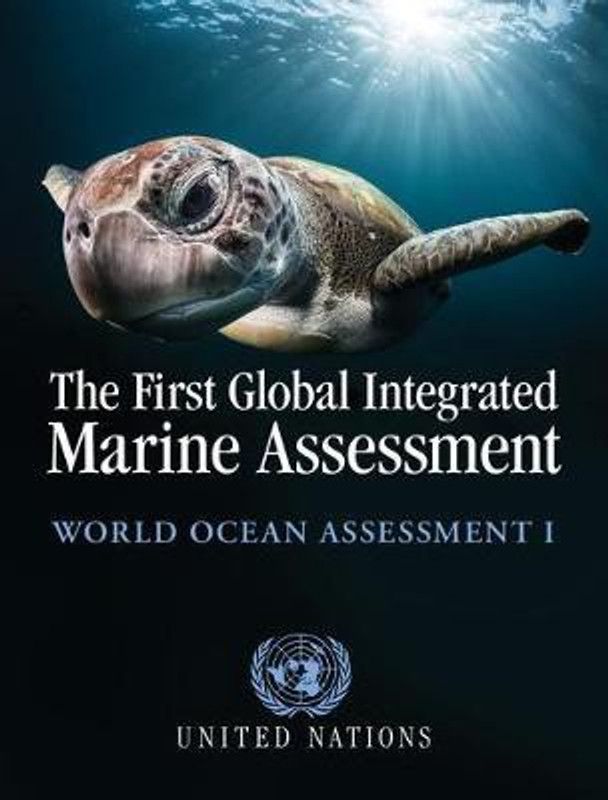 The First Global Integrated Marine Assessment  (English, Hardcover, unknown)