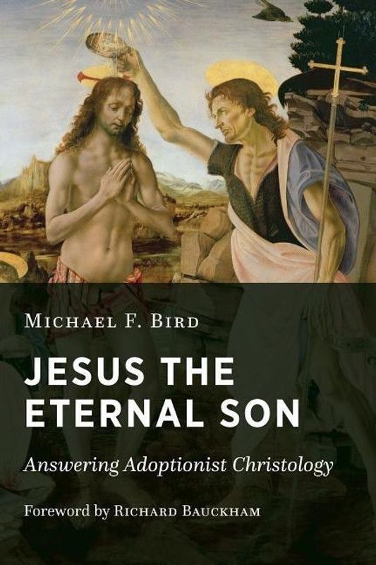 Jesus the Eternal Son  (English, Paperback, Bird Michael F.)