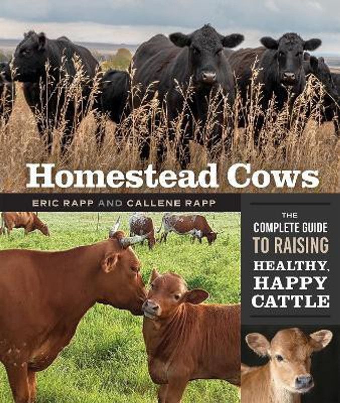 Homestead Cows  (English, Paperback, Rapp Callene)