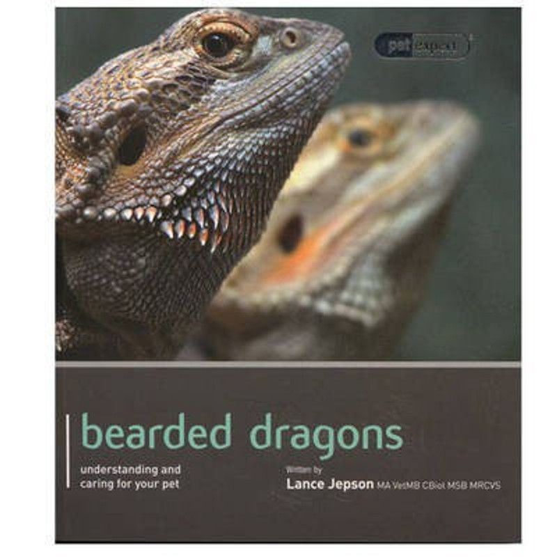 Bearded Dragon - Pet Expert  (English, Paperback, Jepson Lance)