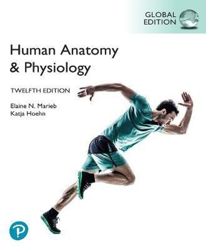 Human Anatomy & Physiology, Global Edition  (English, Paperback, Marieb Elaine)