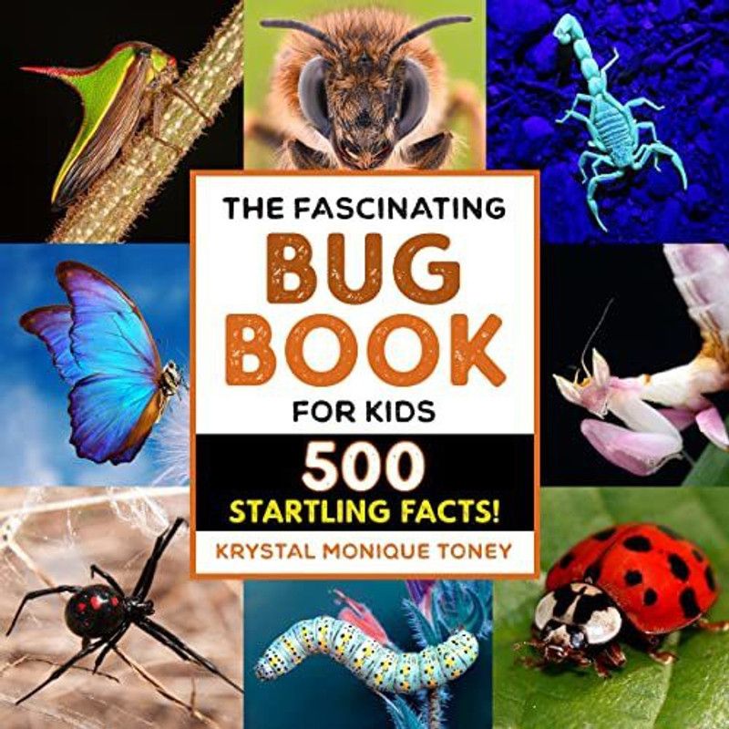 The Fascinating Bug Book for Kids  (English, Paperback, Toney Krystal Monique)