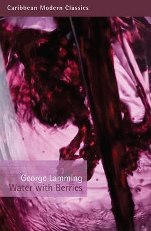 Water with Berries  (English, Paperback, unknown)