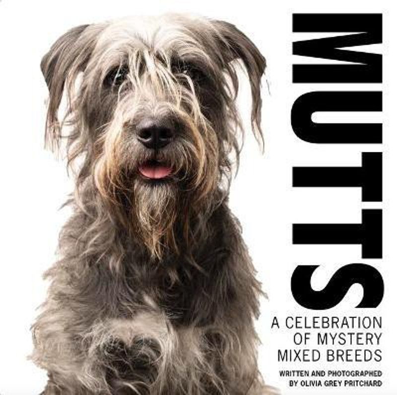 Mutts  (English, Hardcover, unknown)
