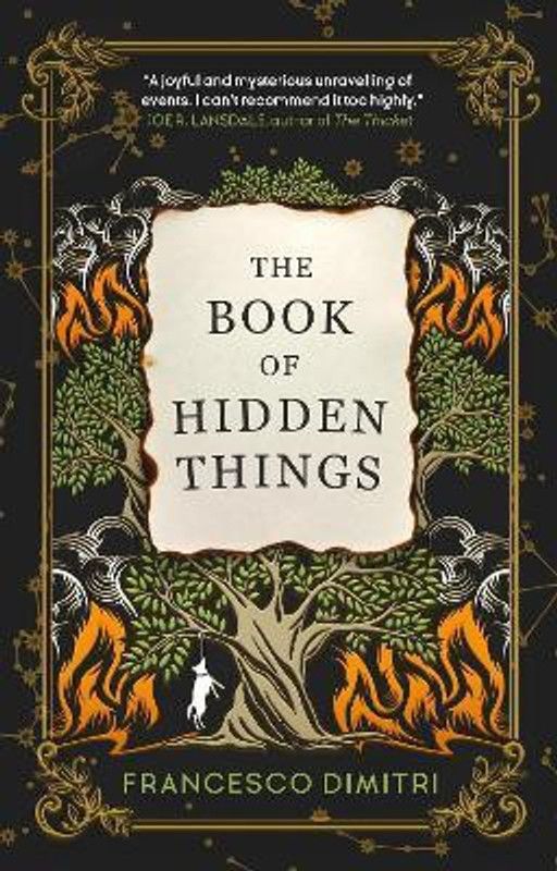 The Book of Hidden Things  (English, Paperback, Dimitri Francesco)