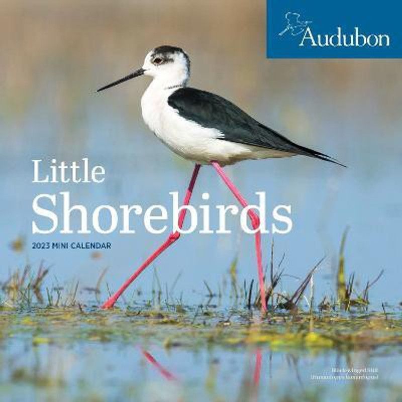 Audubon Little Shorebirds Mini Wall Calendar 2023  (English, Calendar, Workman Calendars)