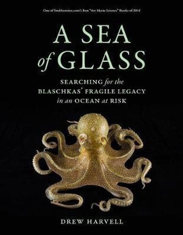 A Sea of Glass  (English, Paperback, Harvell Drew)