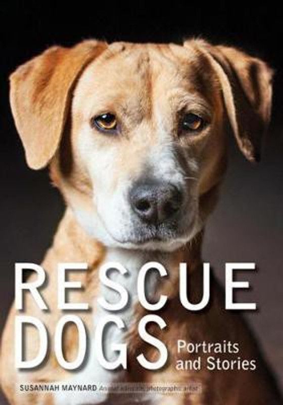 Rescue Dogs  (English, Paperback, Maynard Susannah)