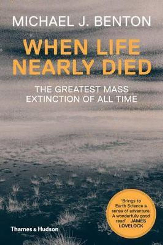 When Life Nearly Died  (English, Paperback, Benton Michael J.)