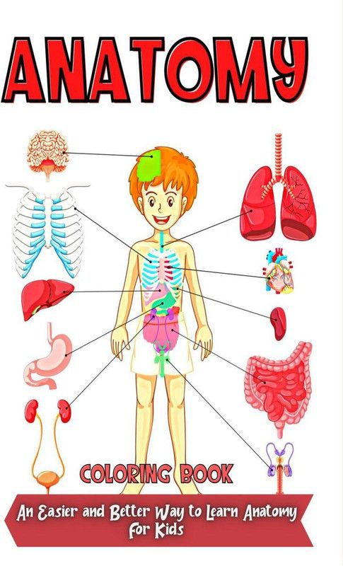 Anatomy Coloring Book  (English, Paperback, Elena Sharp)