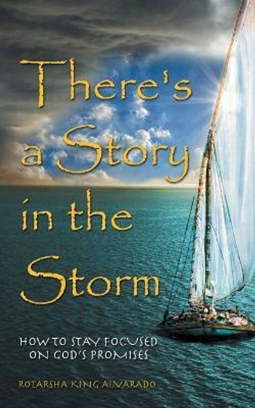 There's a Story in the Storm  (English, Paperback, Alvarado Rotarsha King)