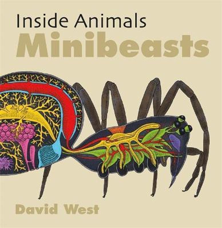 Inside Animals: Minibeasts  (English, Paperback, West David)