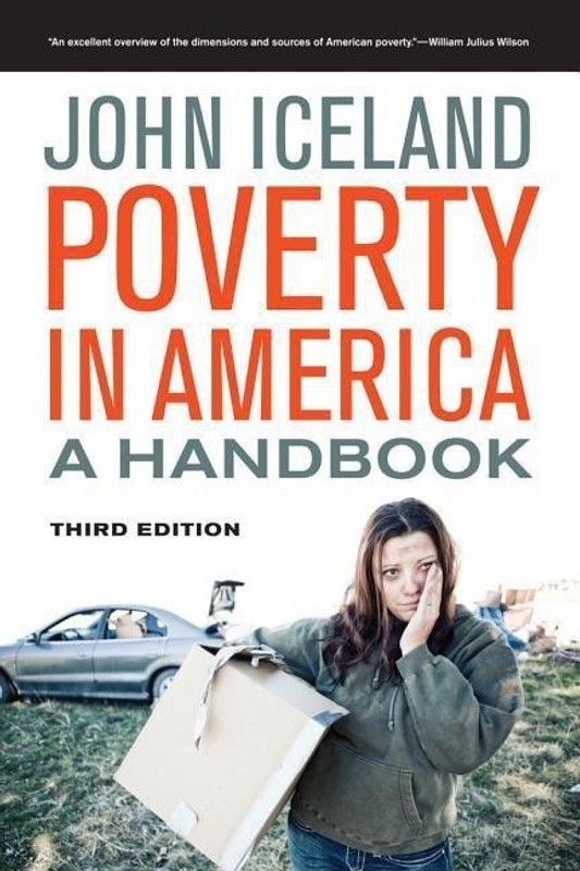 Poverty in America  (English, Paperback, Iceland John)