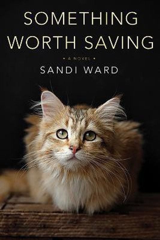 Something Worth Saving  (English, Paperback, Ward Sandi)