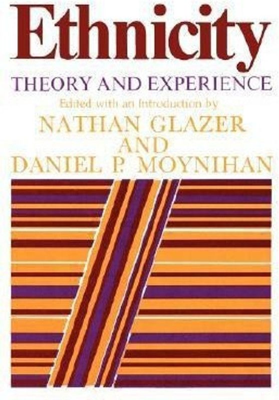 Ethnicity  (English, Paperback, unknown)