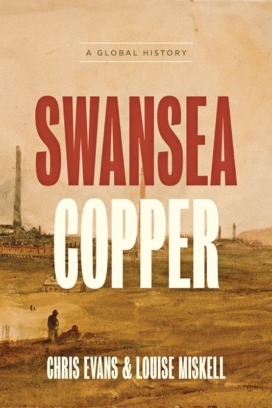 Swansea Copper  (English, Hardcover, Evans Chris)
