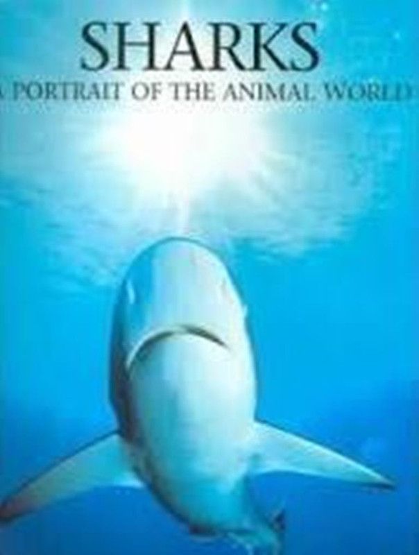 Sharks  (English, Hardcover, Cleave Andrew)