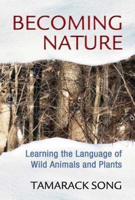 Becoming Nature  (English, Paperback, Song Tamarack)