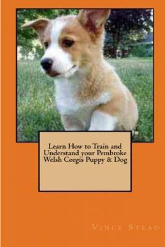 Learn How to Train and Understand Your Pembroke Welsh Corgis Puppy & Dog  (English, Paperback, Stead Vince)