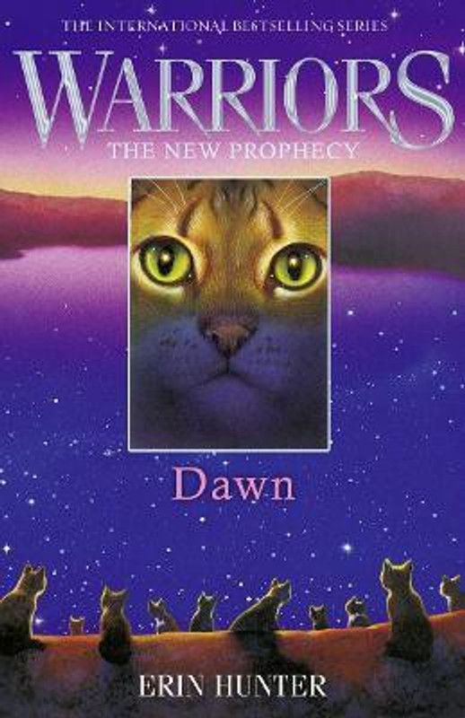 DAWN  (English, Paperback, Hunter Erin)