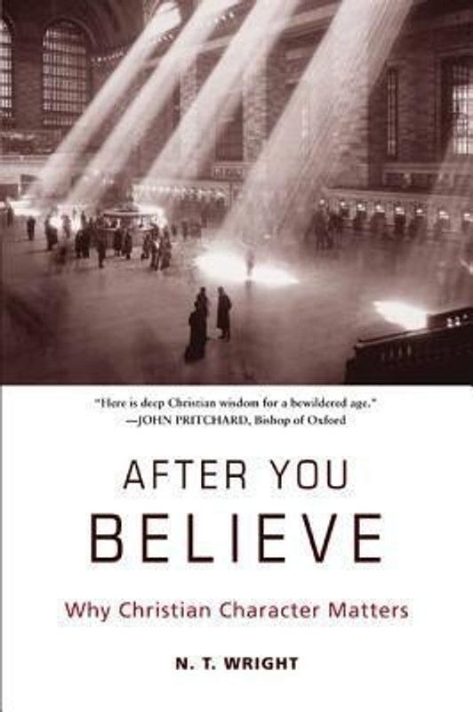 After You Believe  (English, Paperback, Wright N T Fellow, Chaplain)