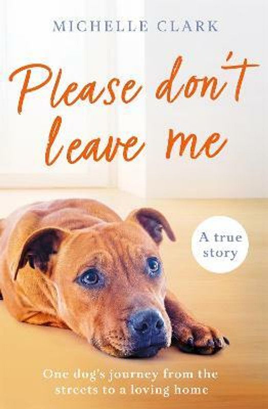 Please Don't Leave Me  (English, Paperback, Clark Michelle)